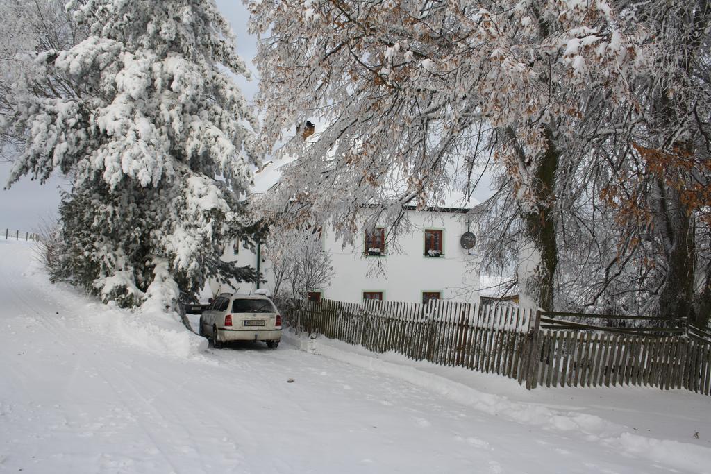 شقة Apartman Hořice na Šumavě المظهر الخارجي الصورة