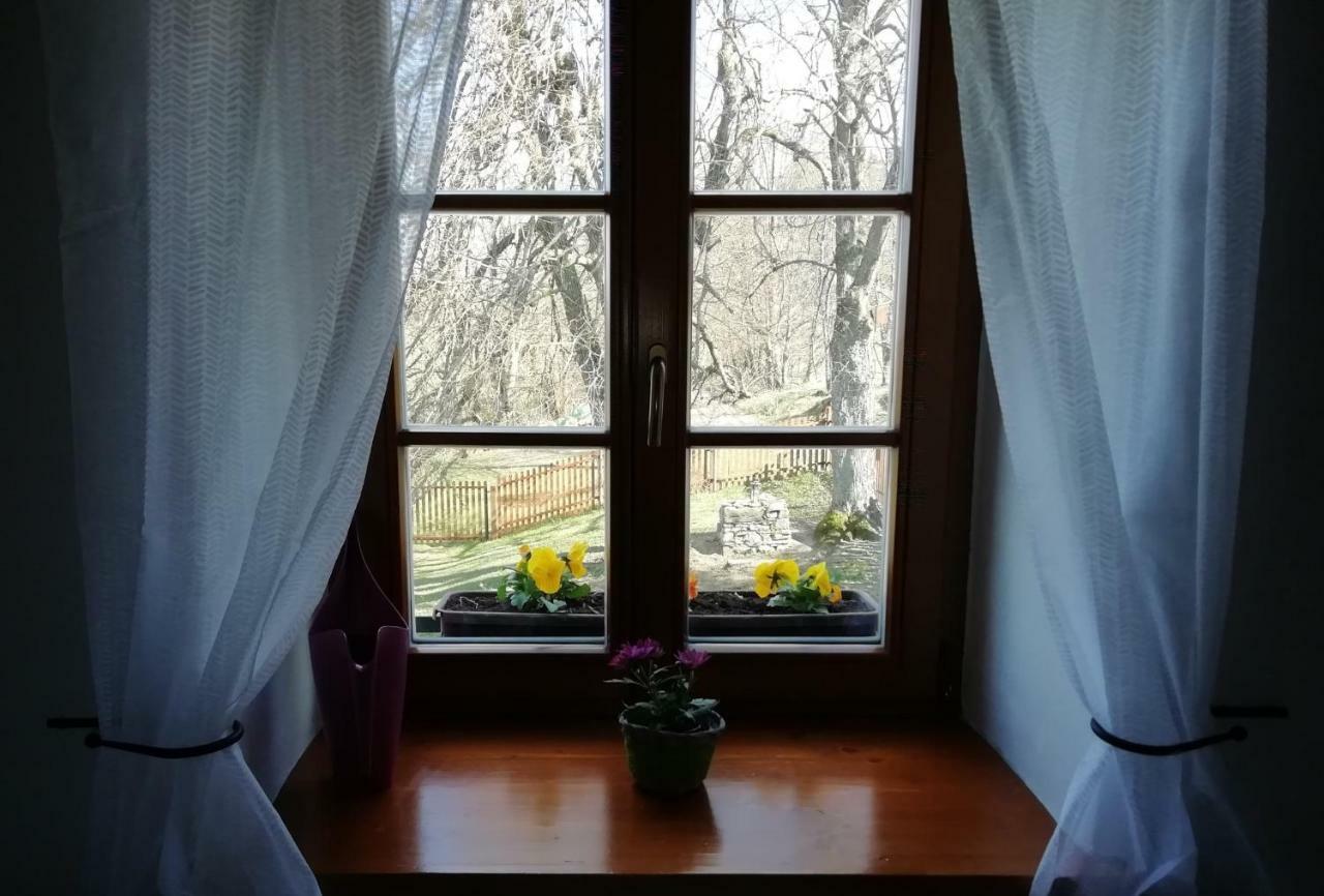 Apartman Hořice na Šumavě المظهر الخارجي الصورة